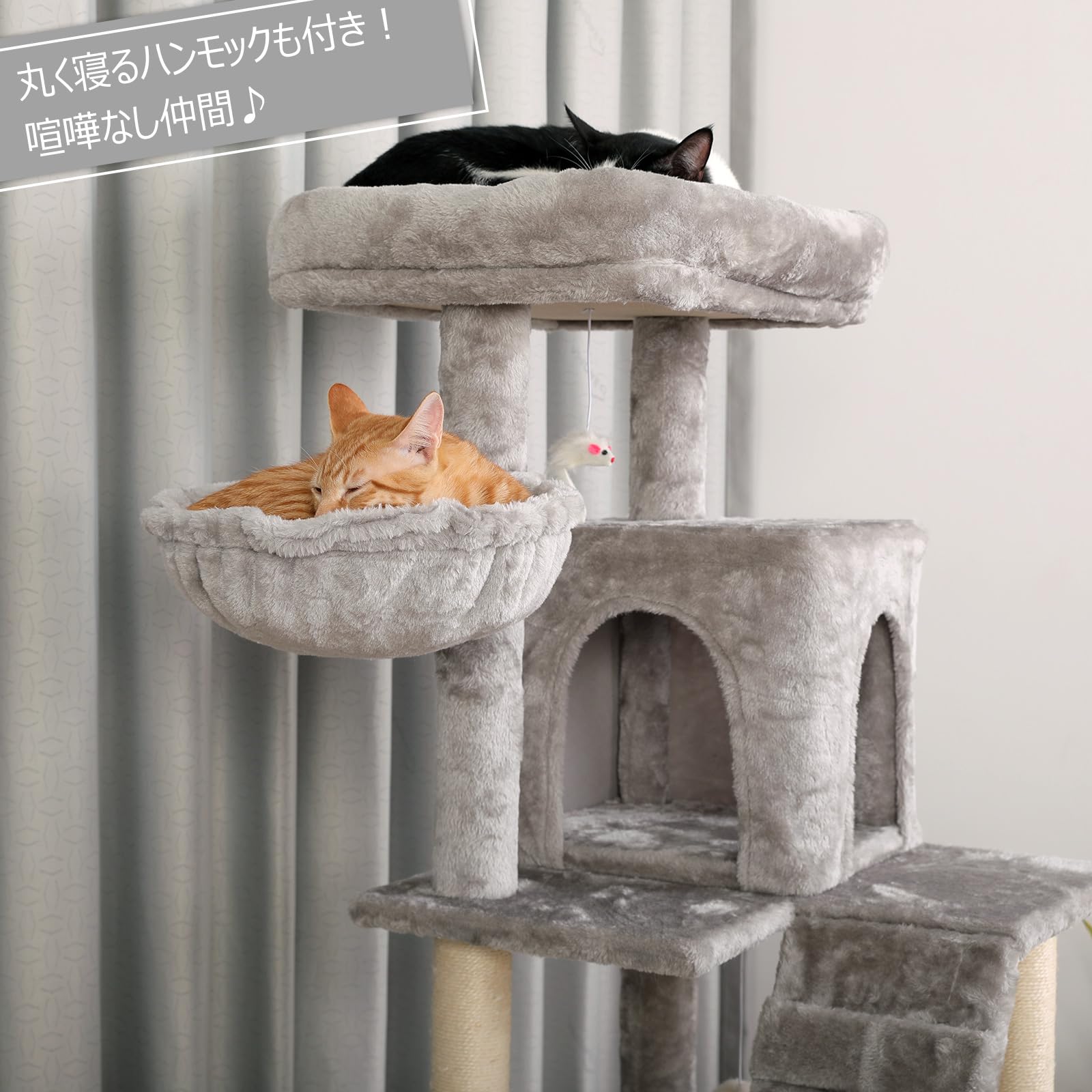 Amazon | QUEENMORE キャットタワー 広いハウス 大きいハンモック 多頭